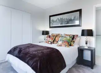 Éradiquer les punaises de lit : pourquoi faire appel à un professionnel ?