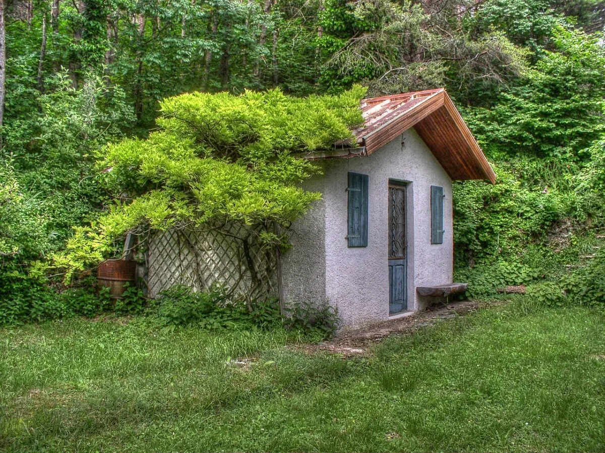 petite maison moderne entourée de verdure et de nature